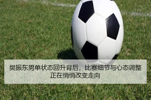 樊振东男单状态回升背后，比赛细节与心态调整正在悄悄改变走向